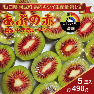 【先行予約】赤いキウイ あぶの赤 約490g 山口県阿武町産 希少品種【2026年10月～2027年1月発送】