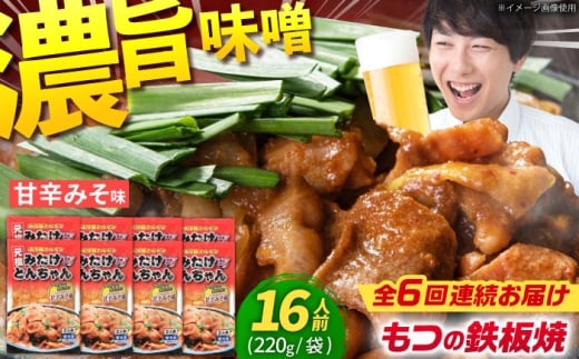 【6回定期便】 岐阜県産豚もつの鉄板焼き「元祖みたけとんちゃん」甘辛みそ味 8袋（16人前） / モツ もつ 白もつ ホルモン / 御嵩町 / 藤よし [AVAA074]