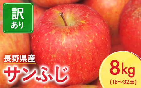 サンふじ りんご 10kg 家庭用