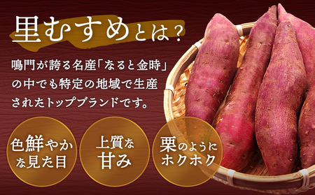 【 予約受付中・2025年9月下旬～10月頃より順次発送 】なると金時 里むすめ 3kg