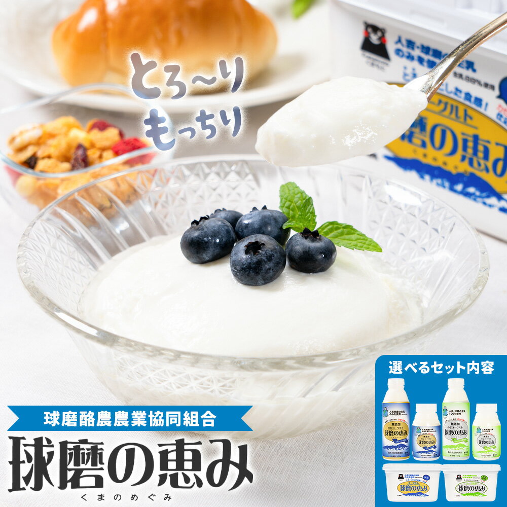 【ふるさと納税】球磨の恵み ヨーグルト のむヨーグルト 選べるセット内容 球磨酪農農業協同組合《30日以内に出荷予定(土日祝除く)》熊本県 球磨郡 山江村 球磨の恵みヨーグルト 球磨の恵みのむヨーグルト 加糖 砂糖不使用 熊本県産 生乳 使用