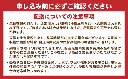 【2024年9月上旬〜順次発送予定】 【ご家庭用】 シャインマスカット 約1.3kg(2～3房) / フルーツ 果物 ぶどう マスカット しゃいんますかっと / 諫早市 / 肥前グローカル株式会社[A