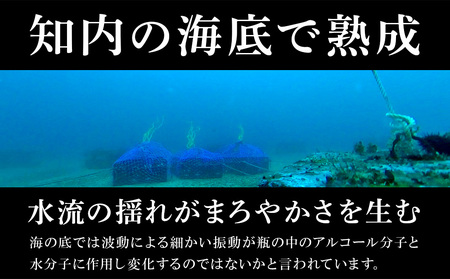 【ふるなび限定・2023年引き揚げ】知内海底熟成ウイスキー2本 Cセット