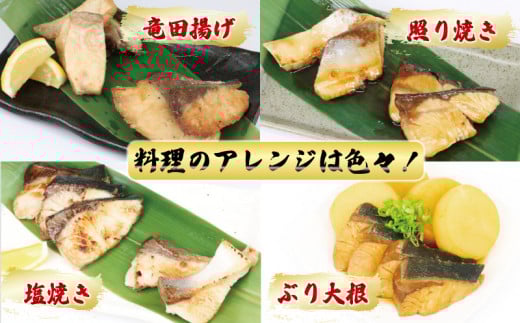 【訳あり】ブリ 鰤 切身 計 1.25kg セット (250g×6 パック) 味付け オイル 付き 南予ビージョイ 骨なし buri ぶり 便利 魚 D011-150006