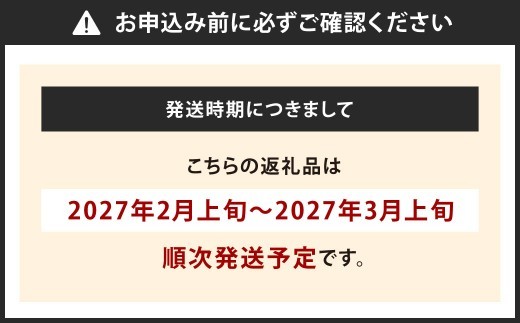 博多あまおう DX上級品 約1kg（約250g×4パック入り）