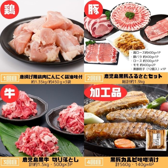 【F90001】＜定期便・全10回＞肝付町セレクト定期便《肉だらけ定期便C》_イメージ3