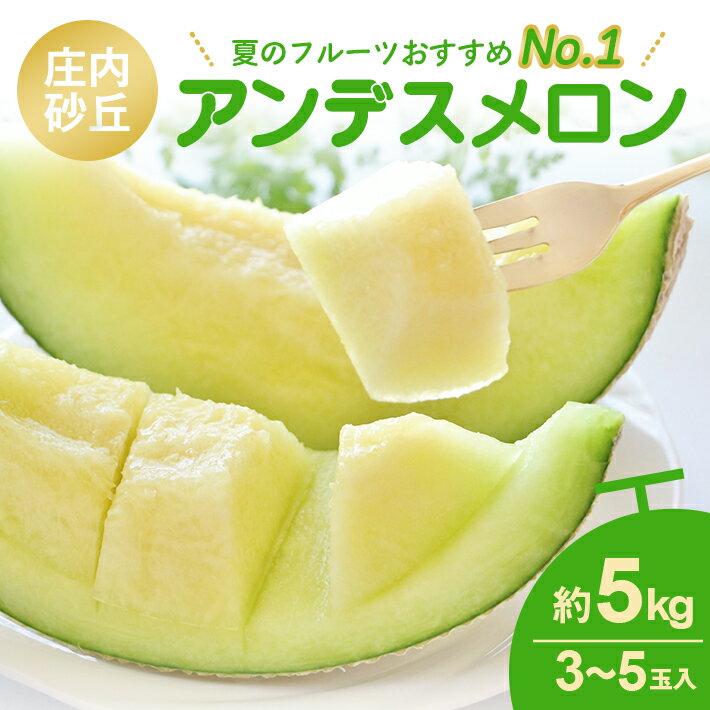 【ふるさと納税】庄内砂丘 アンデスメロン 3～5玉 約5kg 6月中旬〜7月下旬頃お届け ※着日指定不可 メロン 青肉メロン 庄内砂丘メロン 緑 夏 果物 フルーツ くだもの 旬 東北 山形県 酒田市 庄内