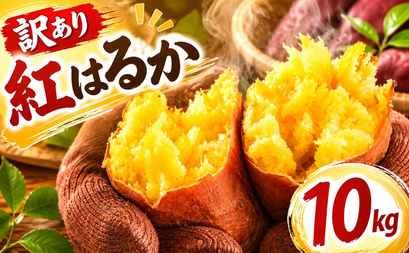 
                  さつまいも 紅はるか 約 10kg 【選べる発送月】 訳あり サツマイモ さつま芋 甘藷 生芋 いも 芋 イモ 焼き芋 やきいも 不揃い 規格外 野菜 おやつ 旬 農家直送 茨城県 鉾田市 大洋まいたけセンター
                