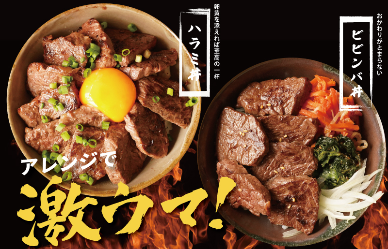 牛肉 ハラミ 1.2kg 小分け 300g×4P【氷温熟成×特製ダレ 味付き 牛肉 訳あり 不揃い 焼肉 BBQ 野菜炒め】 mrz0027