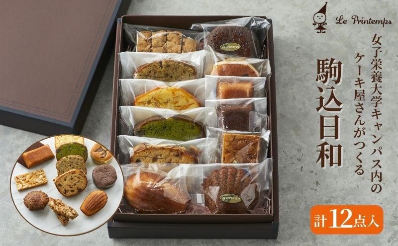 
[№5336-0101]駒込日和
