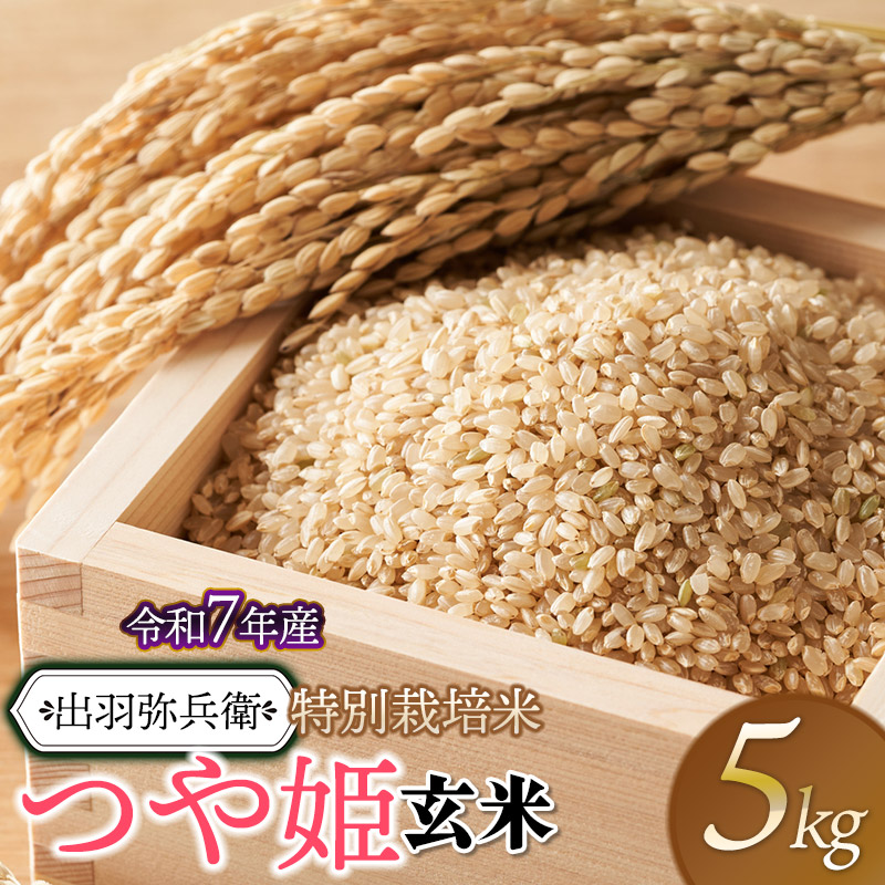 【令和7年産先行予約】特別栽培米 つや姫 【玄米】 5kg　山形県鶴岡市産　出羽弥兵衛 株式会社
