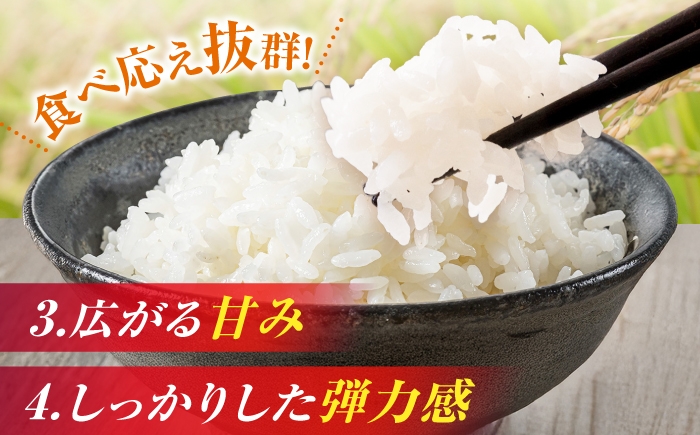 米 お米 5kg 5キロ 白米 精米 愛知県産 国産米 コシヒカリ 国産