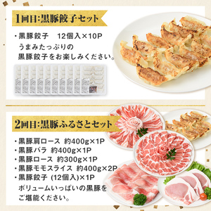 【D02006】＜定期便・全5回＞かごしま黒豚まんぞく定期便A (月1回×5ヶ月) 鹿児島 九州産 国産 肉 豚肉 黒豚 焼豚 肩ロース ロース モモ スライス 叉焼 餃子 ギョーザ ぎょうざ しゃぶ