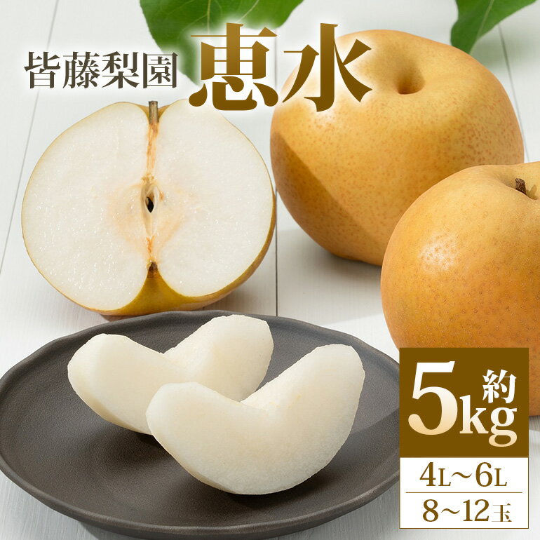 【ふるさと納税】【数量限定・先行予約】恵水（約5kg/4L〜6L/12〜8玉） 梨 惠水 果物 なし ナシ けいすい くだもの フルーツ 皆藤梨園 【9月上旬以降発送予定】 75-C