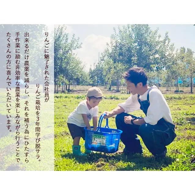 りんご 3種 サンつがる 紅玉 サンふじ 訳あり りんご【約5kg 14〜18玉】【定期便3ヶ月】