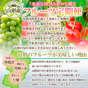 【定期便5回】やまがた人気の果物ベスト5！大粒、大玉、希少品！でチョイス！ 【令和7年産先行予約】FS24-782