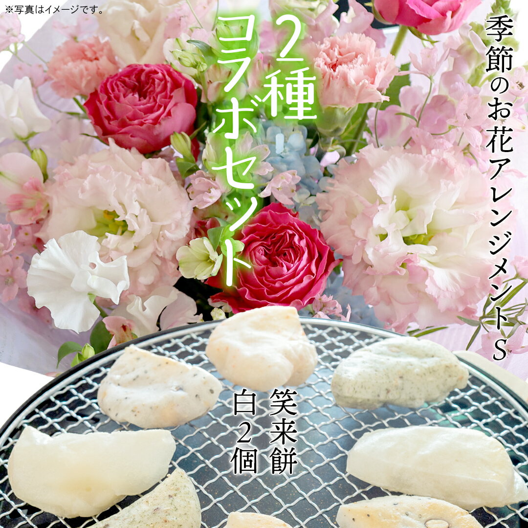【ふるさと納税】【 筑西市 ふるさと納税限定 コラボ 】 《 季節のお花アレンジメントS 》《 笑来餅 2個 セット（白2個） 》 アレンジメント 生花 ギフト プレゼント 誕生日 記念日 敬老 餅 もち もち米 [ZZ047ci]