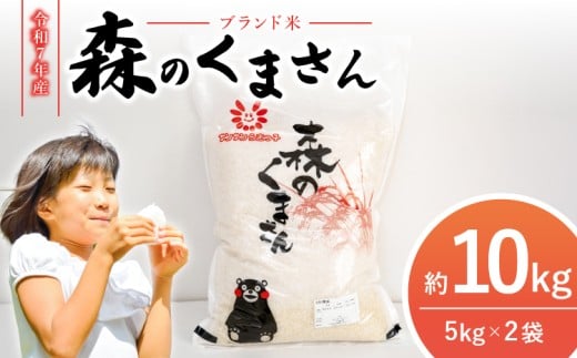 令和7年産 米  森のくまさん 10kg 【2025年11月上旬から2026年10月下旬発送予定】 白米 うるち米 お米 精米 コメ ごはん ご飯 おこめ 精白米 ブランド米 単一米 国産 熊本県産 九州 熊本県 宇城市 熊本宇城農業協同組合 JA熊本うき