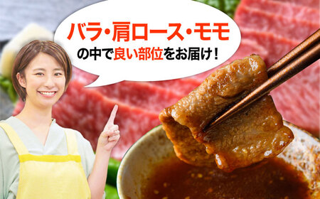 【全12回定期便】おおいた豊後牛 焼肉用 1kg(500g×2P) 日田市 / 株式会社MEAT PLUS　牛 うし 黒毛和牛 和牛 豊後牛[AREI103]