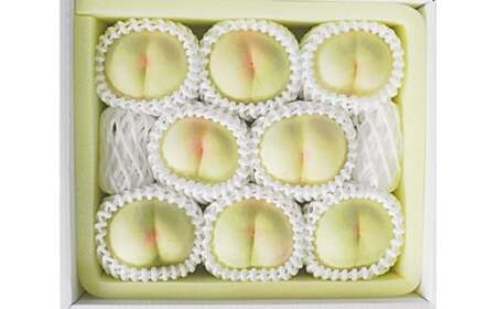 白桃 8玉 （2kg以上） 等級 ： ロイヤル 化粧箱入り 【2026年7月上旬～8月上旬迄発送予定】 ／ 桃 もも モモ はくとう 果物 くだもの フルーツ 果実 デザート 冷蔵