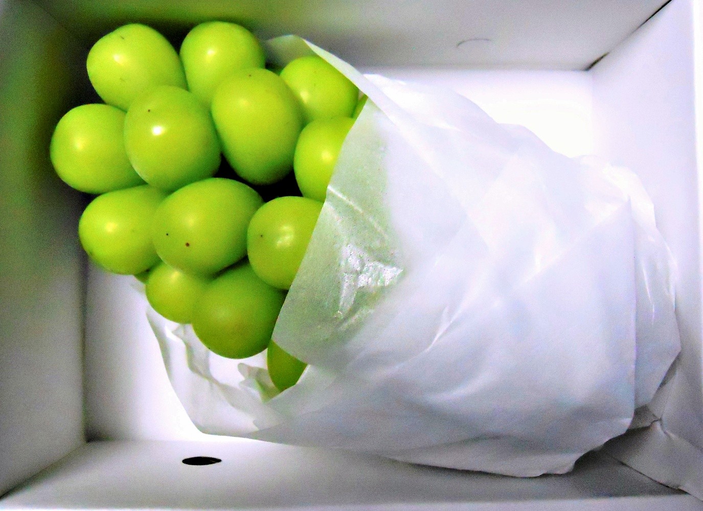 
                  ぶどう（シャインマスカット）１房　７００ｇ　0017-2610
                