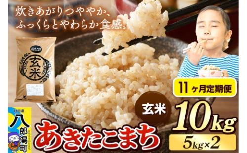 《令和8年産 新米》《定期便11ヶ月》米 あきたこまち 10kg（5kg×2袋）【玄米】秋田県産 [新米 米 コメ 玄米 あきたこまち おいしい 美味しい 安全 自然の恵み]