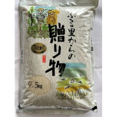 ふるさと納税 館山市 千葉県館山産コシヒカリ　精米　4.5kg