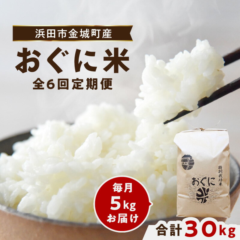 【ふるさと納税】【レビューCP対象】【令和7年産】【先行予約】浜田市金城町産【おぐに米】5kg【定期便】（6回コース） 【071_2074】
