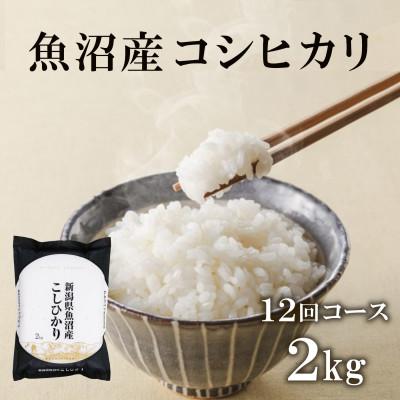 ふるさと納税 十日町市 【毎月定期便】魚沼産コシヒカリ　精米[2kg×1袋]全12回