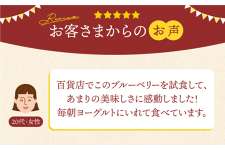 ワイルドブルーベリー200gセットA(ヨーグルト用ミックス、ナッツ)【多々楽達屋】 厳選 濃厚 無塩 果物 木の実 パイン レーズン マンゴー グレープ 杏 おつまみ おやつ お菓子 製菓材料 間食 