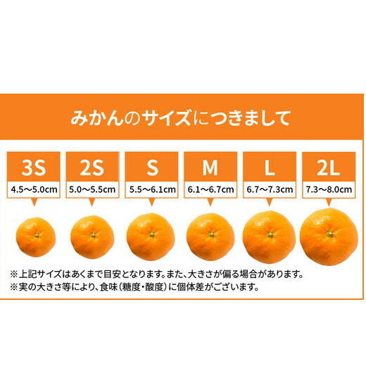 【先行予約】 有田みかん 秀品 約3kg サイズ混合　和歌山県産_イメージ2