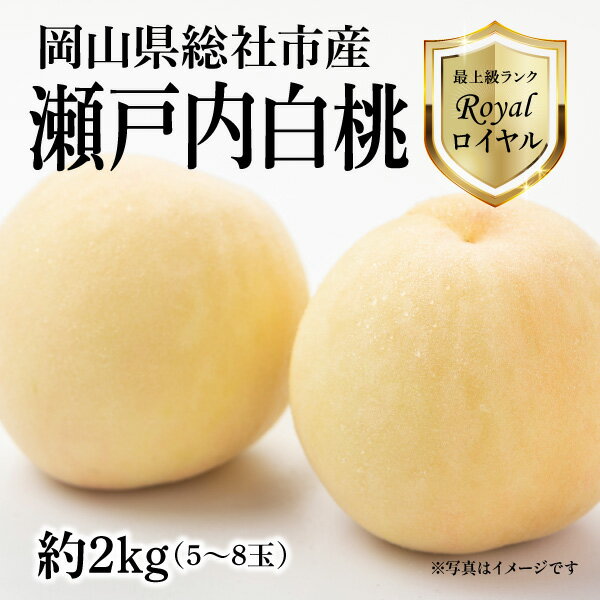 【ふるさと納税】白桃 2025年産 先行予約 瀬戸内白桃 ロイヤル 約2kg箱 5～8玉 ［2025年8月中旬～8月下旬配送］ 数量限定 岡山県 総社市産 限定 25-035-003