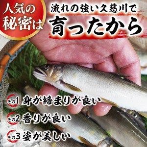 【夏季限定】清流 久慈川 天然鮎 6～7匹｜茨城県 大子町 あゆ 魚 川魚 冷凍（AA001）