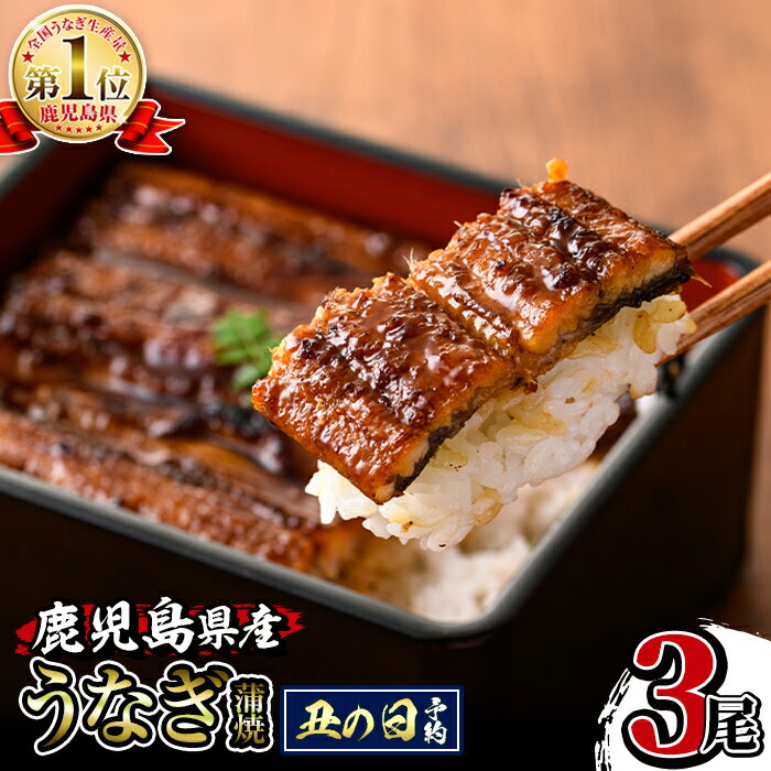 【ふるさと納税】＼累計寄附尾数15,000尾突破／回数が選べる！鹿児島県産うなぎ蒲焼(1回3尾 or 3回定期便 or 6回定期便) うなぎ 鰻 ウナギ 約140g 蒲焼き 国産 鹿児島県産 焼きたて 生産量日本一 真空パック おかず 晩御飯 特別な日 土用の丑の日 【薩摩川内鰻】