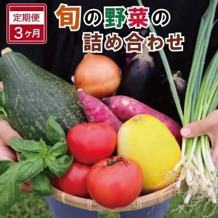 野菜定期便【3ヶ月連続】定期便 旬の野菜詰め合わせ 6～7品以上 ja1