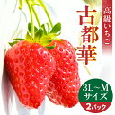 【ふるさと納税】【2025年2月～3月発送】高級いちご「古都華」3L～Mサイズ 2パック いちご 高級 古都華 3L～Mサイズ 280g×2パック 深みのある濃厚な味わい ほどよい酸味 高い糖度 華やかな香り 美味しく甘い フルーツ 果物 宙吊り包装 お取り寄せ 奈良県 生駒市 送料無料