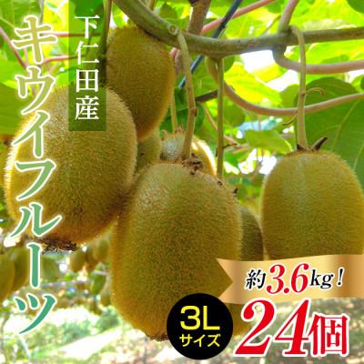 ふるさと納税 下仁田町 &lt;先行予約&gt;【2年連続受賞】下仁田町産キウイフルーツ(24個入り/3Lサイズ)