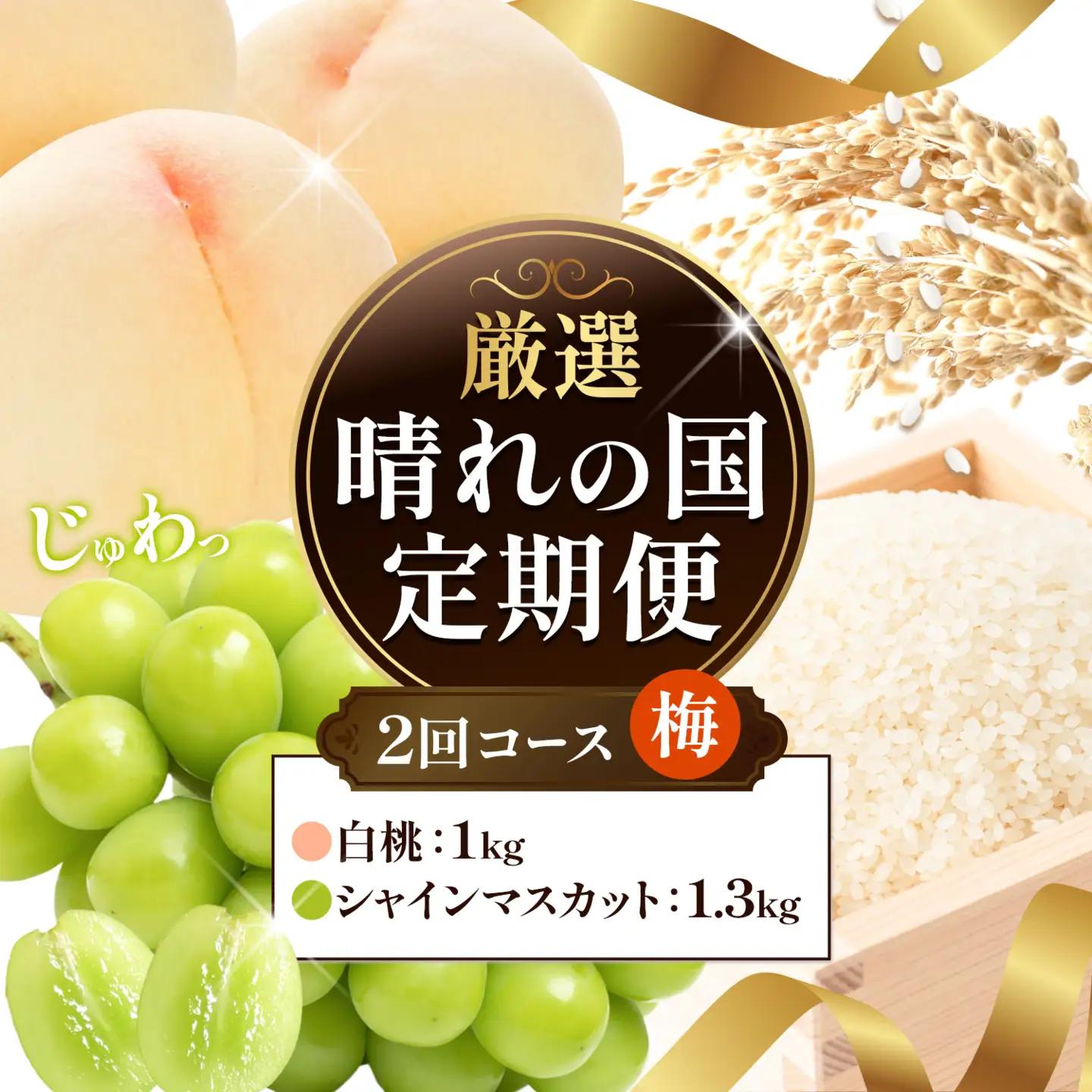 【全2回】晴れの国定期便 桃1kg マスカット1.3kg 定期便