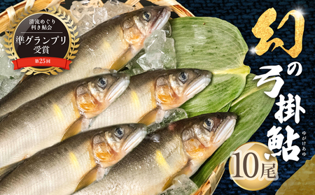 【先行予約】（2026年8月上旬頃から発送）弓掛の天然鮎 10尾セット【冷凍パック】【107-2】