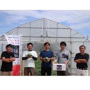 甘さがギュッ!とつまったシャリシャリ食感の藪塚こだまスイカ4玉(令和8年5月～6月発送)_果物・フルーツ すいか  スイカ 西瓜_【配送不可地域：離島】【1213152】