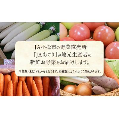 ふるさと納税 小松市 【12ヶ月定期便】小松市産季節の野菜詰め合わせ 定期便 JA小松 野菜定期便 |  | 01