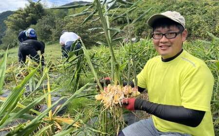 【先行予約】 希少品種 赤生姜 約1kg 【 ショウガ 産地直送 新鮮 料理 野菜 薬味 岩手県 陸前高田市 】2025年10月から発送予定 RT2726