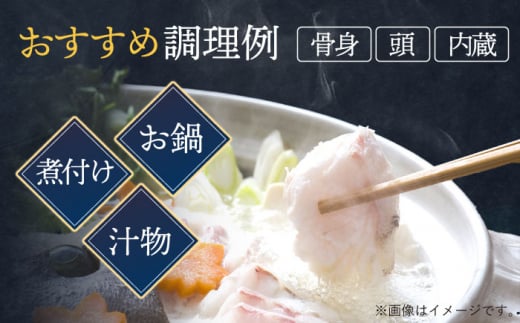 使い道いろいろ！ 活〆 クエ （ アラ ） 切身大 《 対馬市 》 【 対馬逸品屋 】 海鮮 高級 鍋 おもてなし [WAF013]冷凍 新鮮 くえ 鍋セット 海の幸 クエ 下処理 冷凍 新鮮 小分け