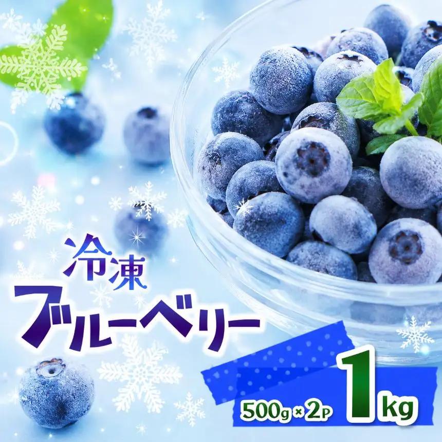 完熟 冷凍ブルーベリー 約 1kg