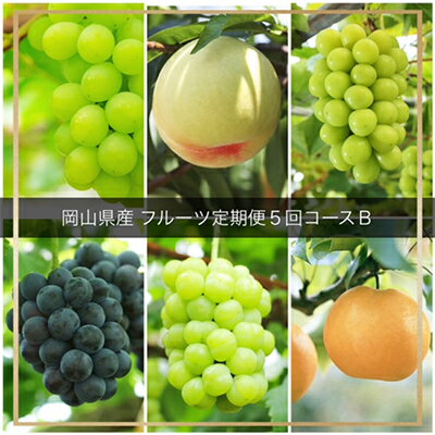 【ふるさと納税】【発送月固定定期便】B 岡山県産 白桃・シャインマスカット(晴王)・あたご梨ほか　全5回【配送不可地域：離島・北海道・沖縄県】【4014367】