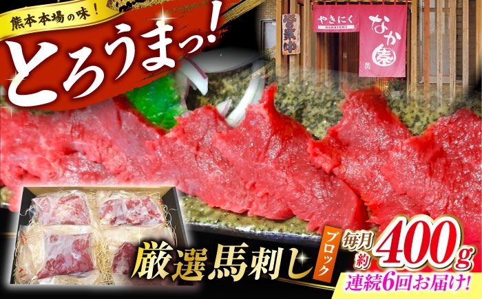 
            【6回定期便】熊本 馬刺し「なか園」赤身馬刺し 約400ｇ【有限会社スイートサプライなかぞの】 [ZBV075]
          