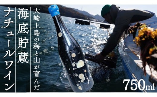 海底貯蔵 ワイン 「海底貯蔵 エヌ by Vignoble de NAKA rouge MBA」【2026年6月以降発送】 お酒 酒 ぶどう 葡萄 瀬戸内 熟成 ビンテージワイン ナチュラルワイン