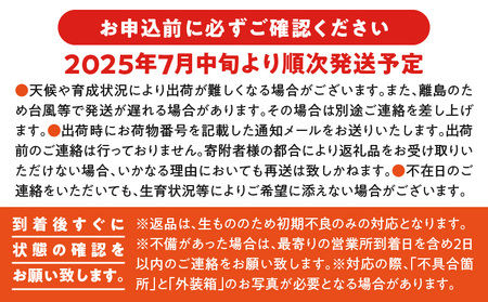 【W001-009u】【先行予約】沖永良部完熟アップルマンゴー2～3玉で1kg