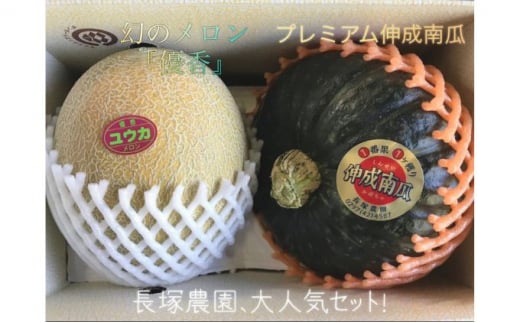 
            【先行予約】令和7年 プレミアム伸成かぼちゃ・優香メロン ｜ カボチャ パンプキン めろん 常総市 果物 フルーツ ※2025年6月中旬～6月下旬頃に順次発送予定 ※沖縄・離島への配送不可
          