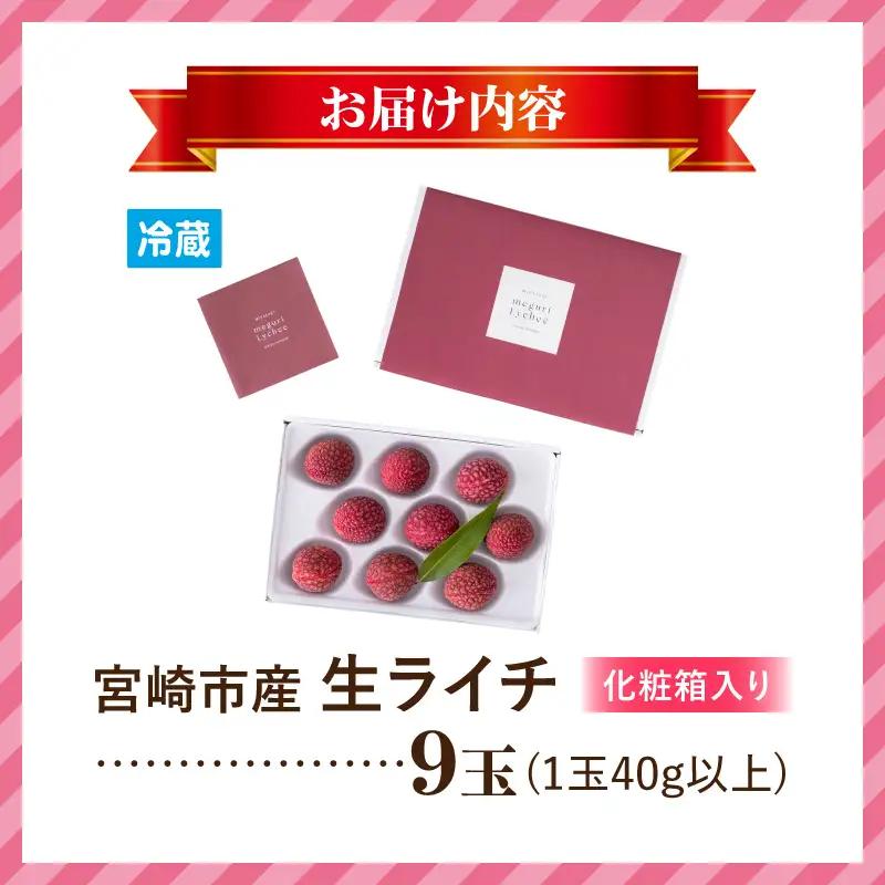 ライチ 9玉 ライチ [2026年発送 宮崎市産 生ライチ 1玉40g以上]